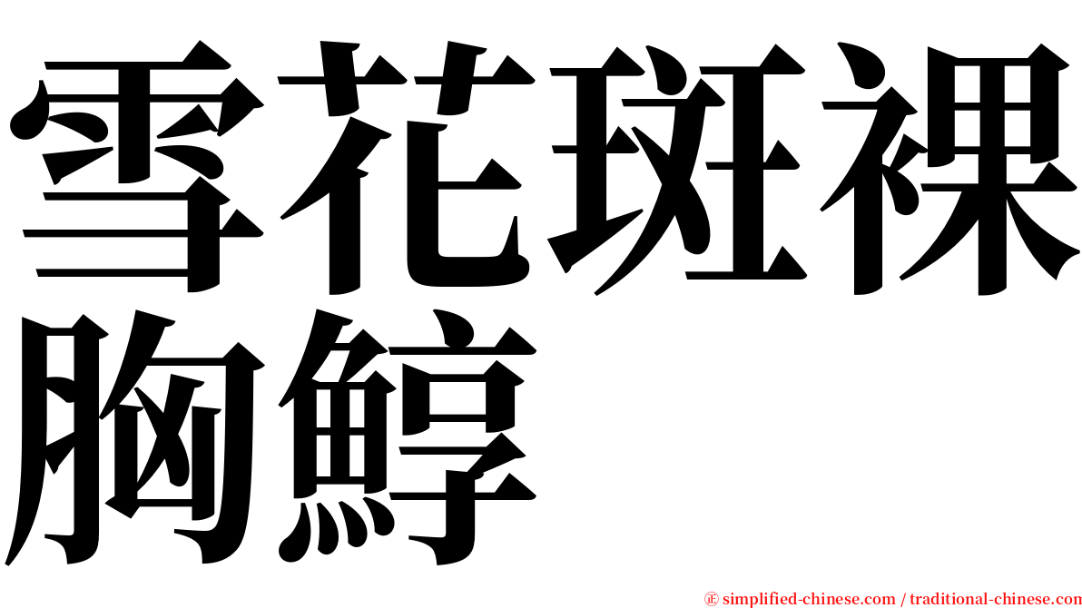 雪花斑裸胸鯙 serif font