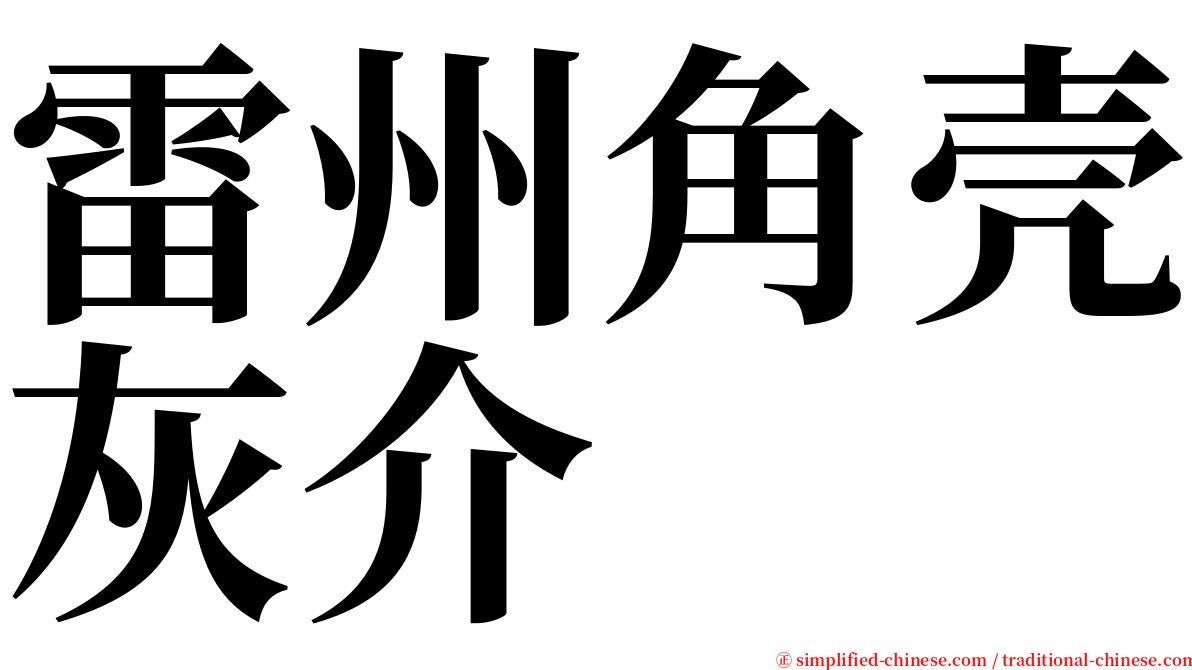 雷州角壳灰介 serif font