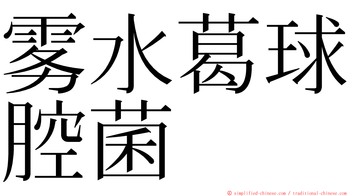 雾水葛球腔菌 ming font