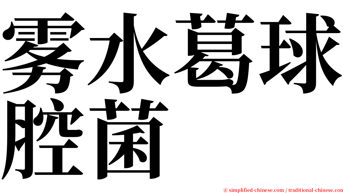 雾水葛球腔菌 serif font