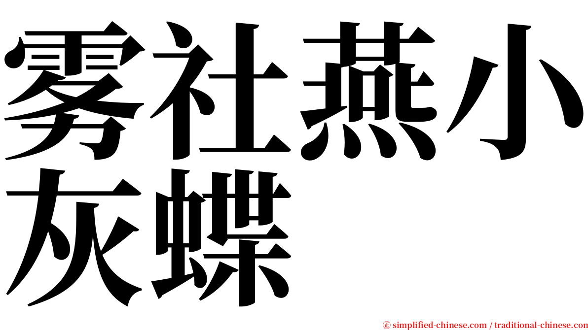 雾社燕小灰蝶 serif font