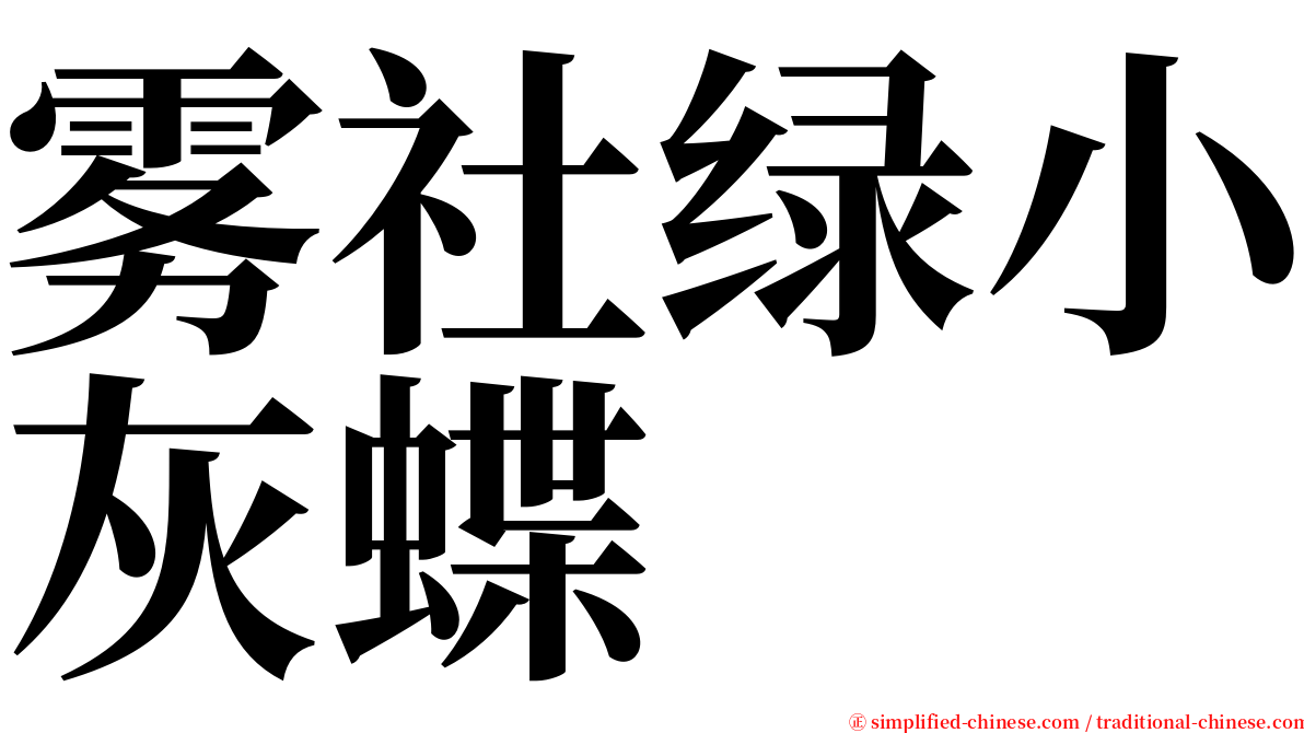 雾社绿小灰蝶 serif font