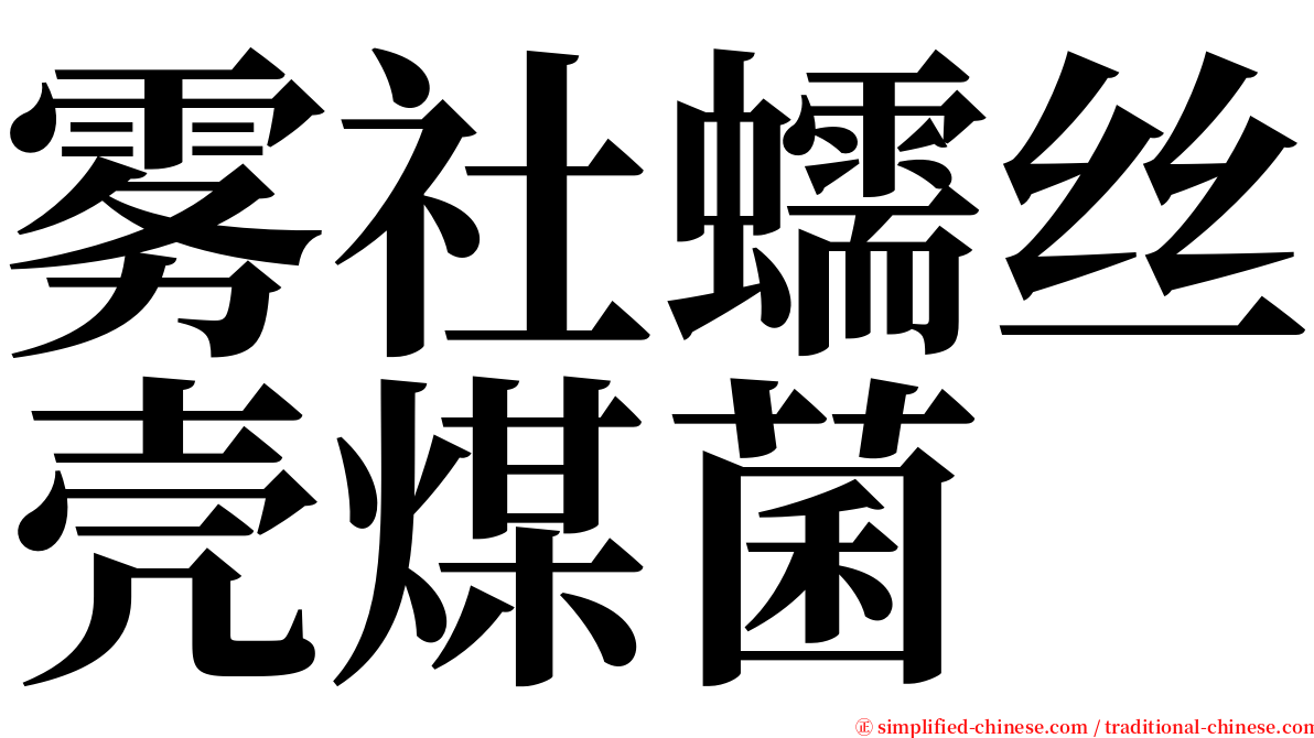 雾社蠕丝壳煤菌 serif font