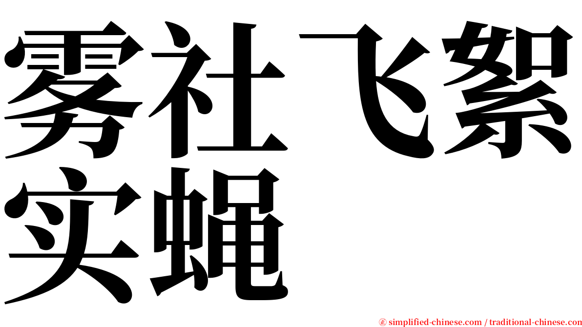 雾社飞絮实蝇 serif font