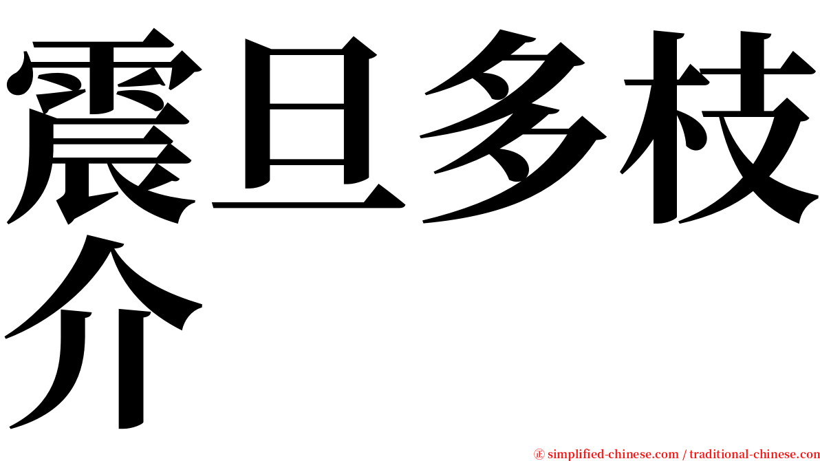 震旦多枝介 serif font