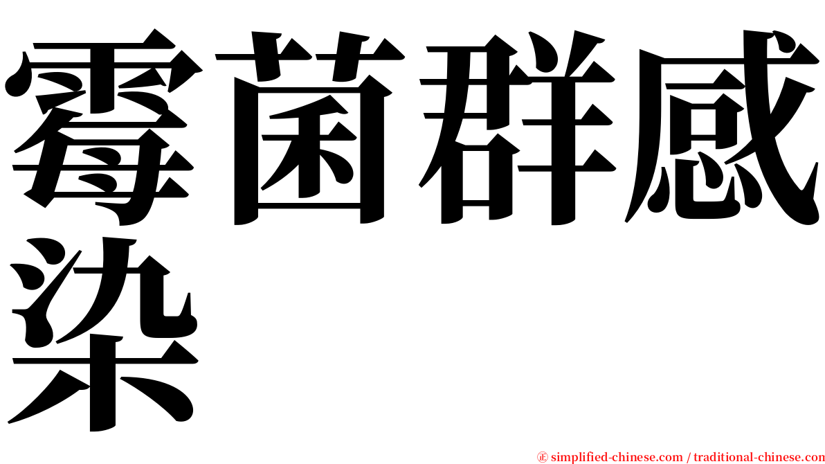 霉菌群感染 serif font