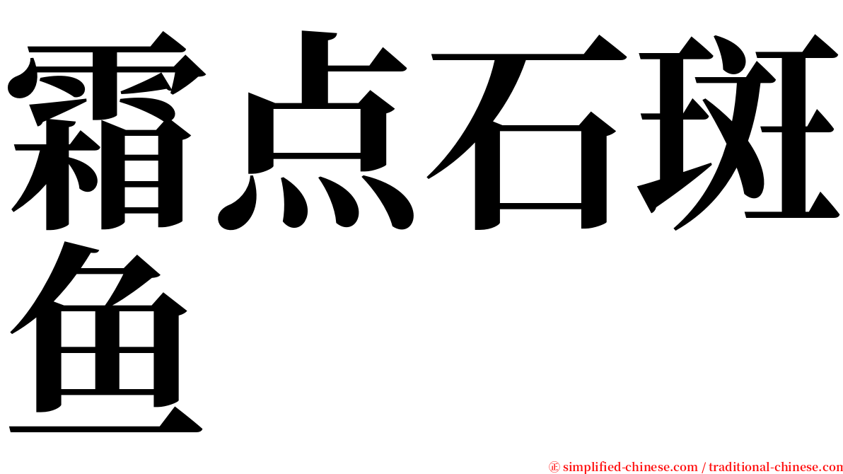 霜点石斑鱼 serif font