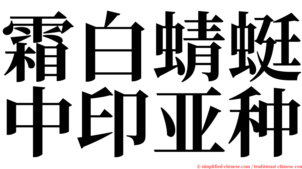 霜白蜻蜓中印亚种 serif font