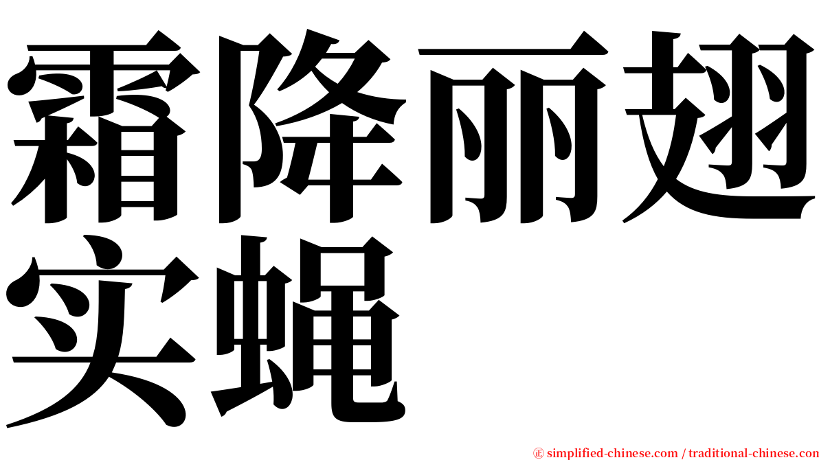 霜降丽翅实蝇 serif font