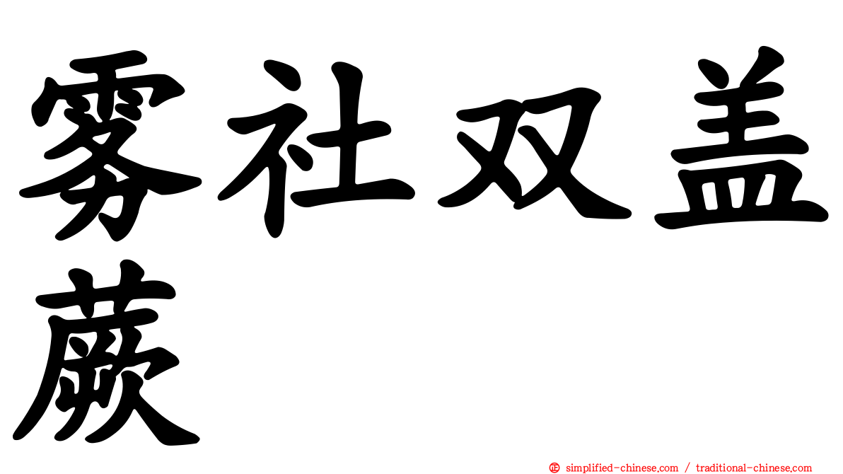 雾社双盖蕨
