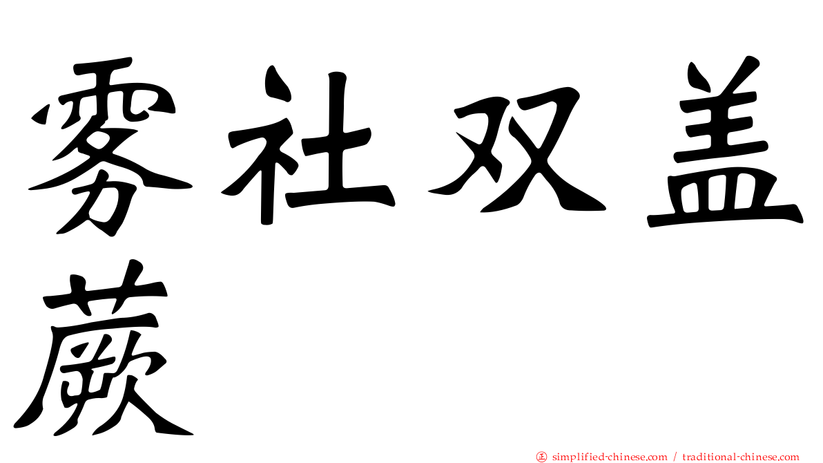 雾社双盖蕨