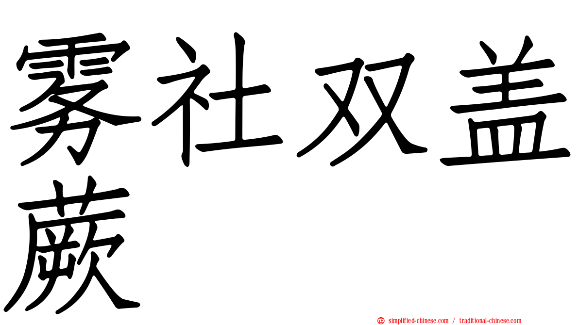 雾社双盖蕨