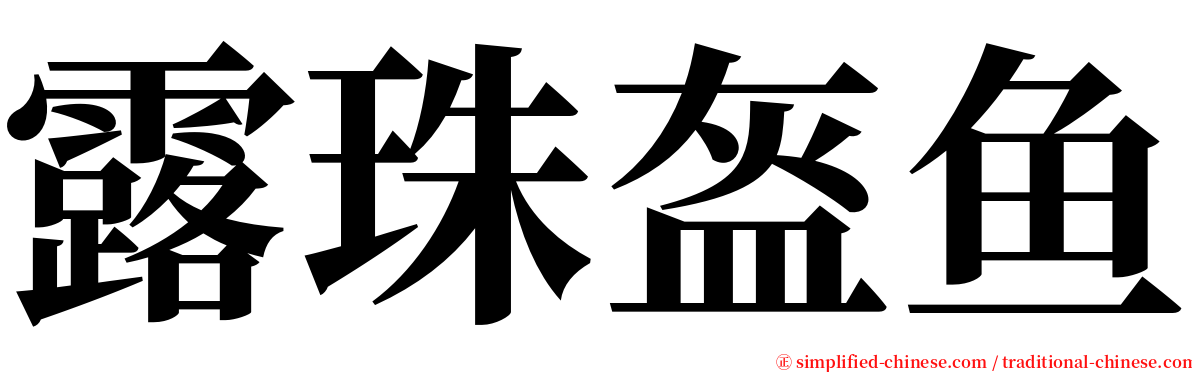 露珠盔鱼 serif font