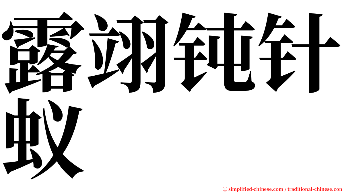 露翊钝针蚁 serif font