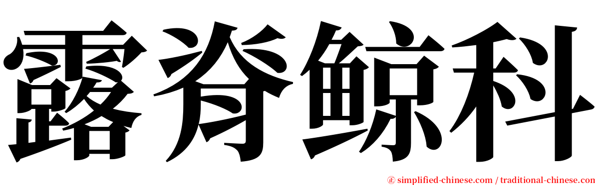 露脊鲸科 serif font