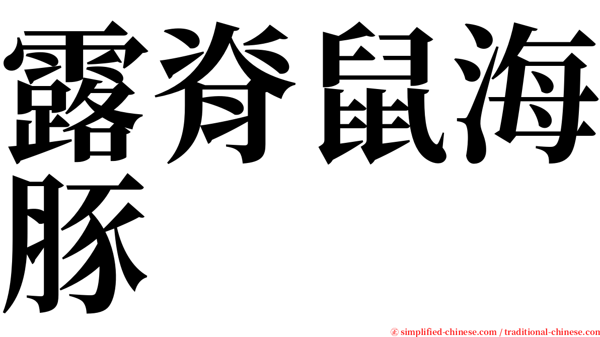 露脊鼠海豚 serif font