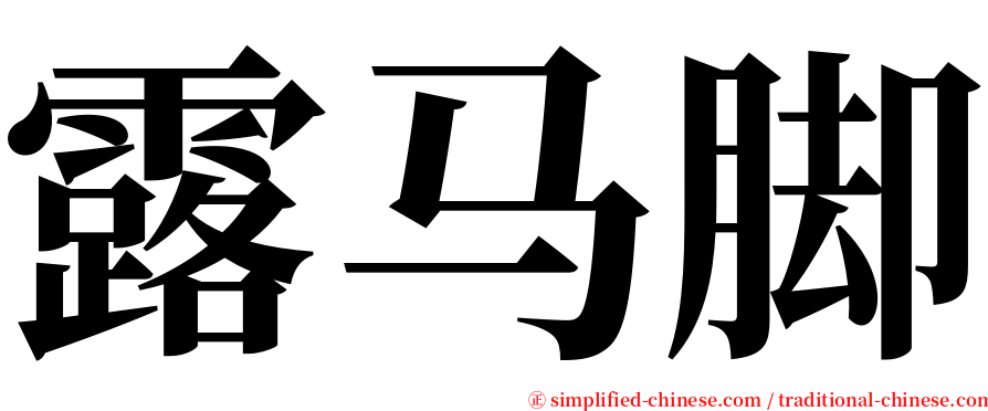 露马脚 serif font