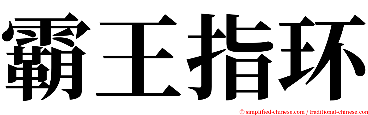 霸王指环 serif font