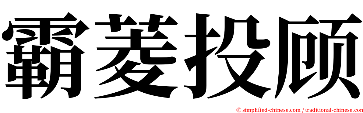霸菱投顾 serif font