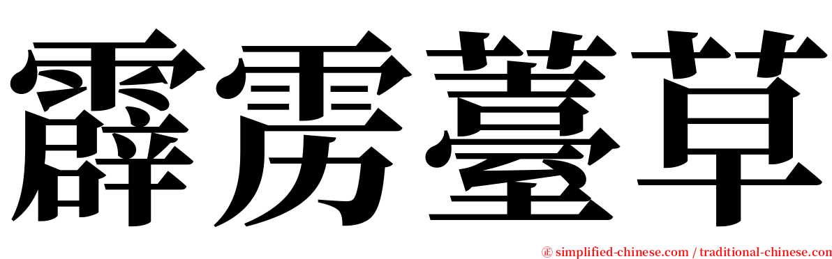 霹雳薹草 serif font