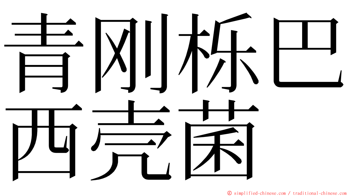 青刚栎巴西壳菌 ming font