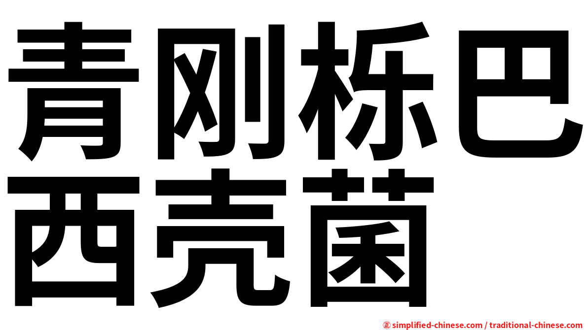 青刚栎巴西壳菌