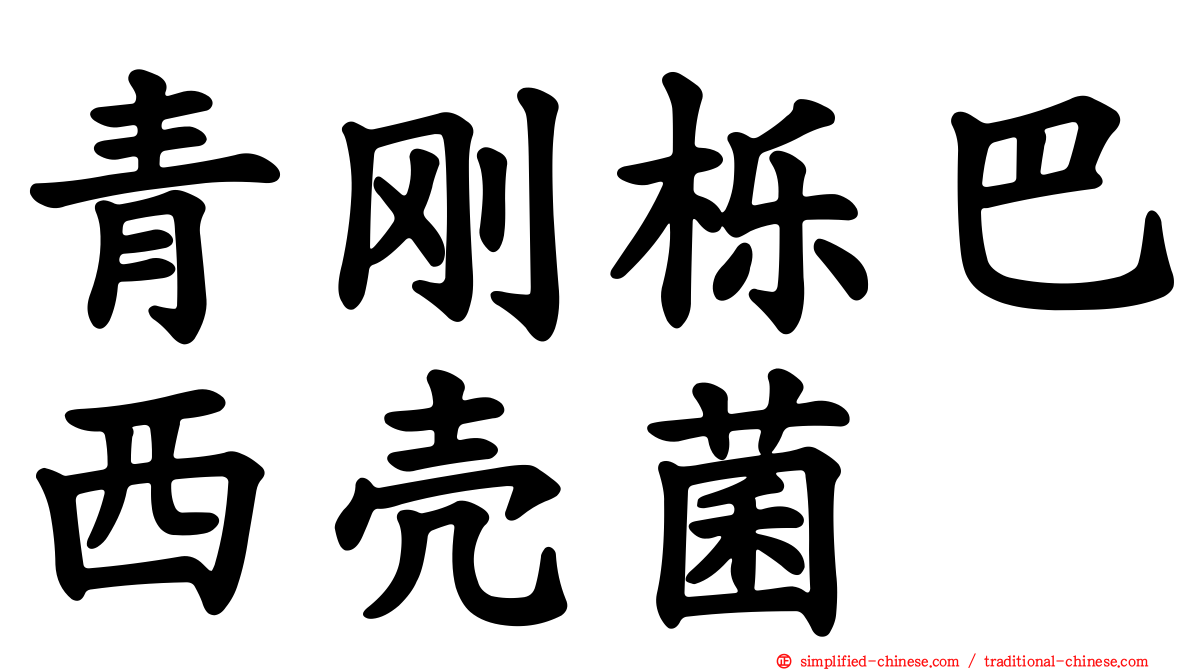青刚栎巴西壳菌