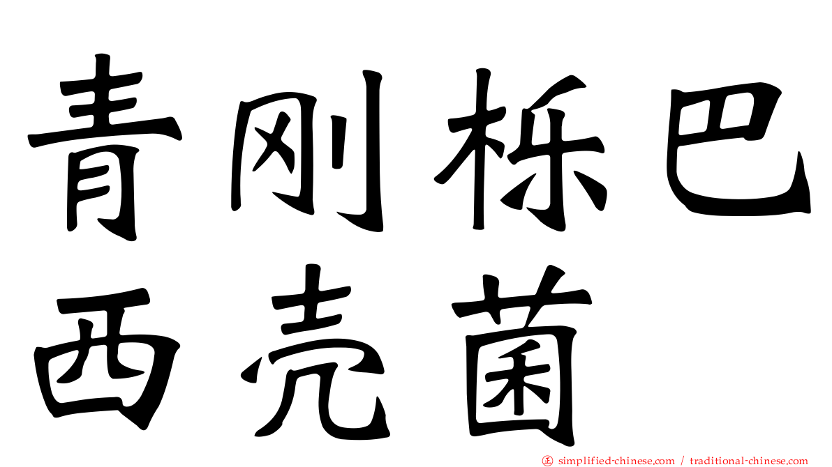 青刚栎巴西壳菌