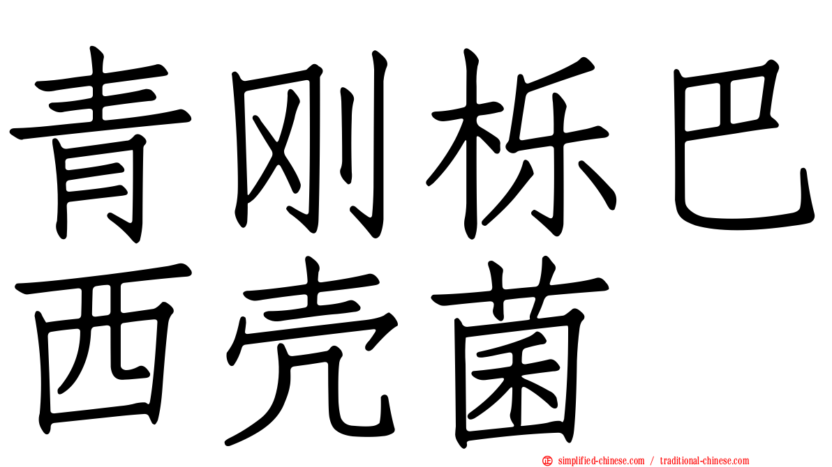 青刚栎巴西壳菌