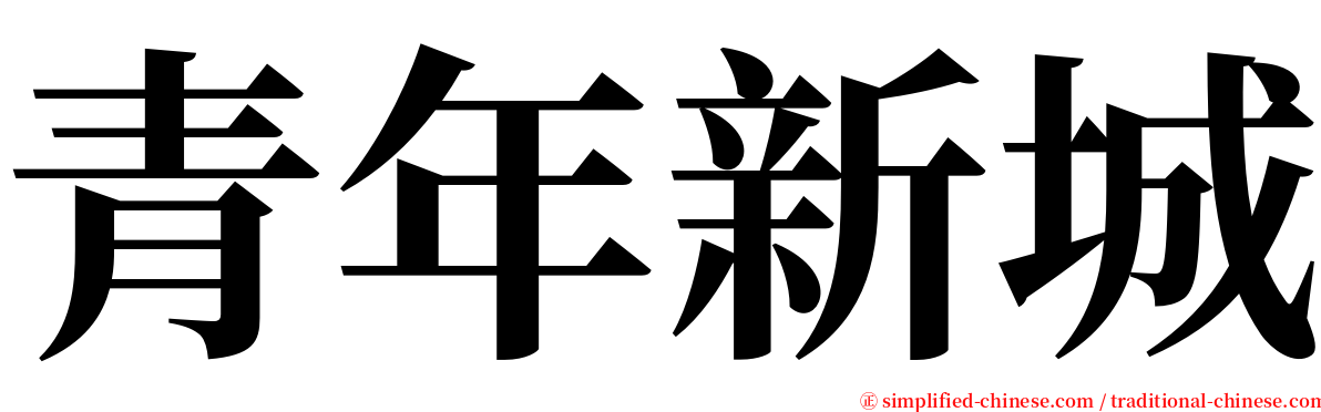 青年新城 serif font