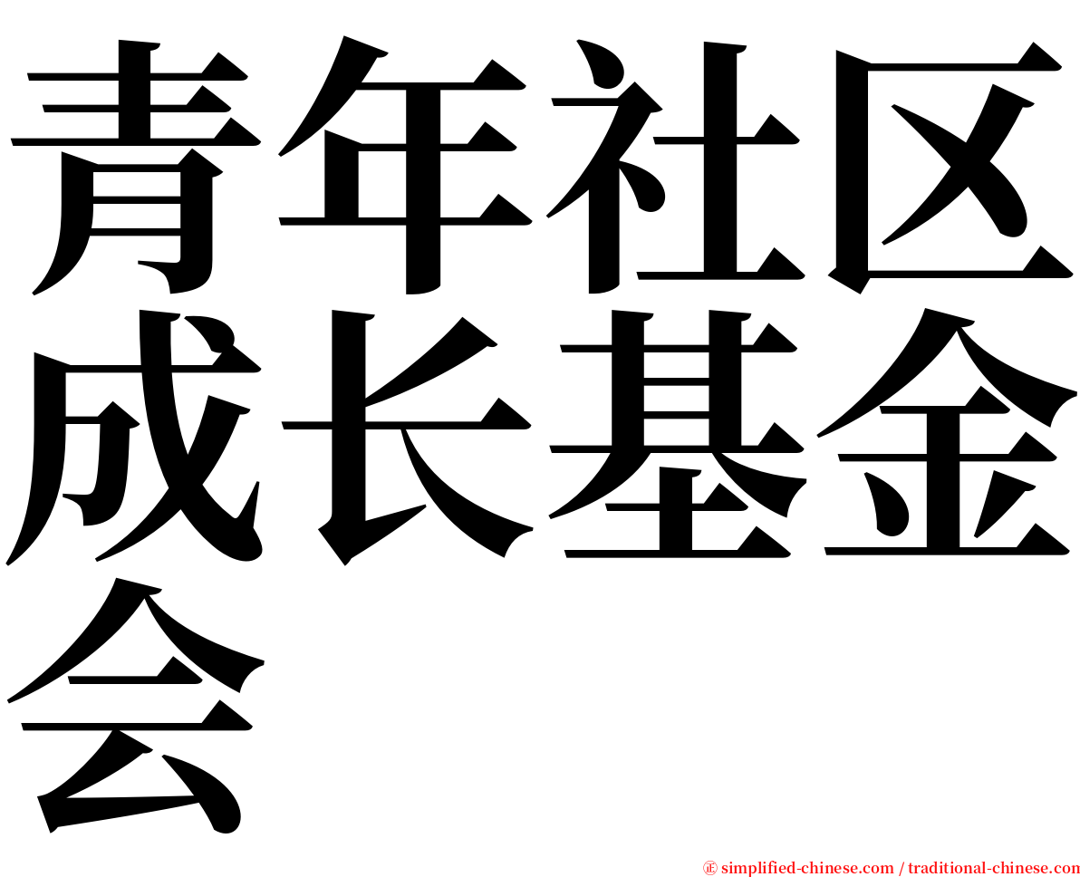 青年社区成长基金会 serif font