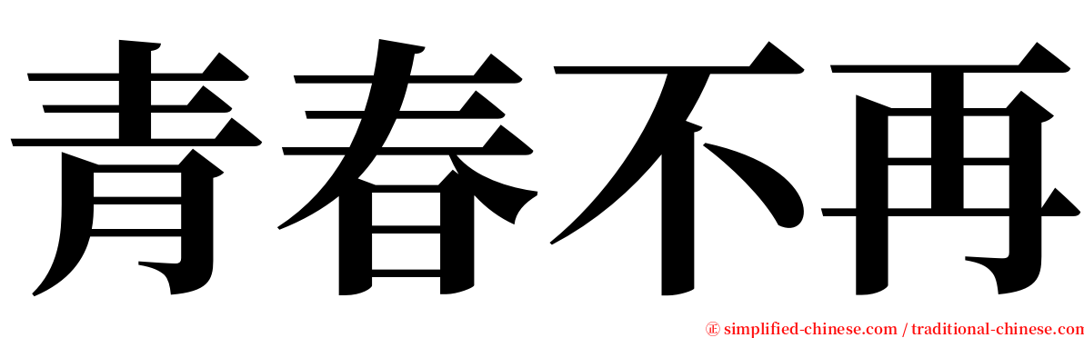 青春不再 serif font