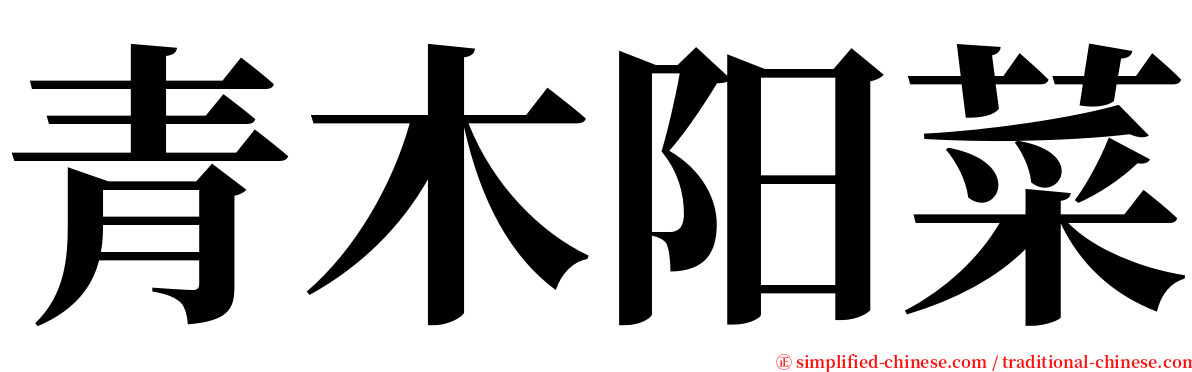 青木阳菜 serif font