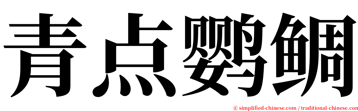 青点鹦鲷 serif font