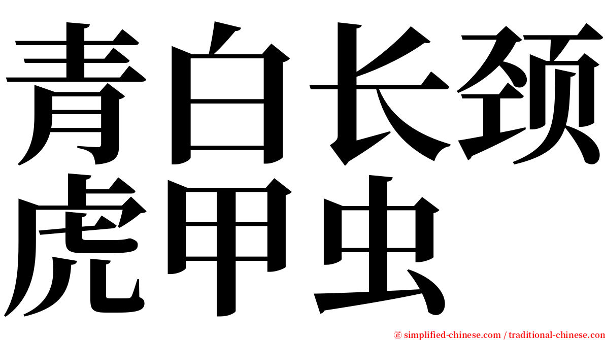 青白长颈虎甲虫 serif font