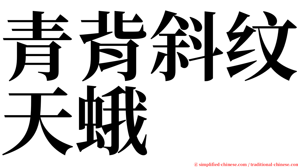 青背斜纹天蛾 serif font