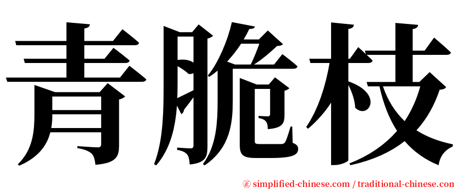 青脆枝 serif font