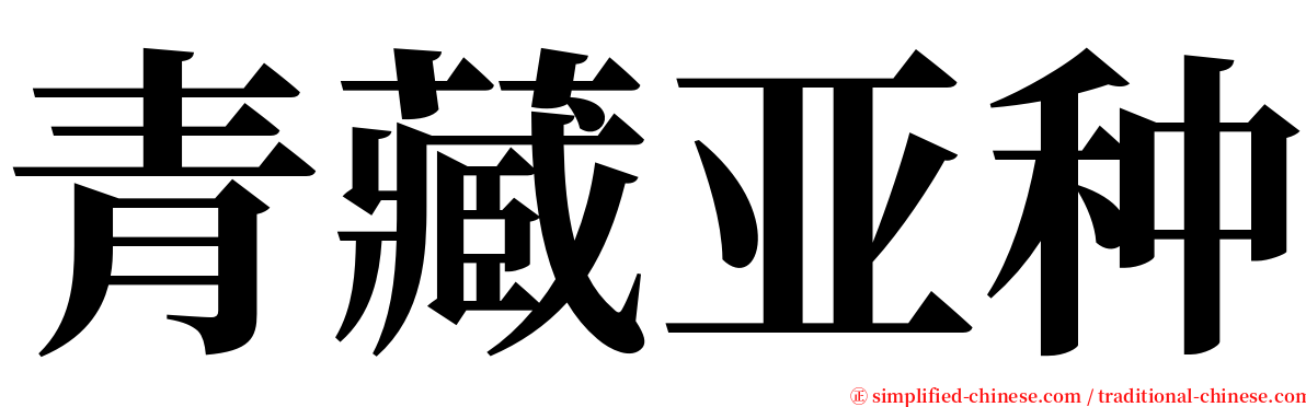 青藏亚种 serif font
