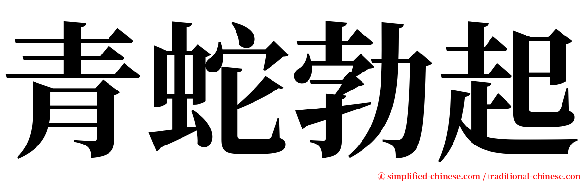 青蛇勃起 serif font