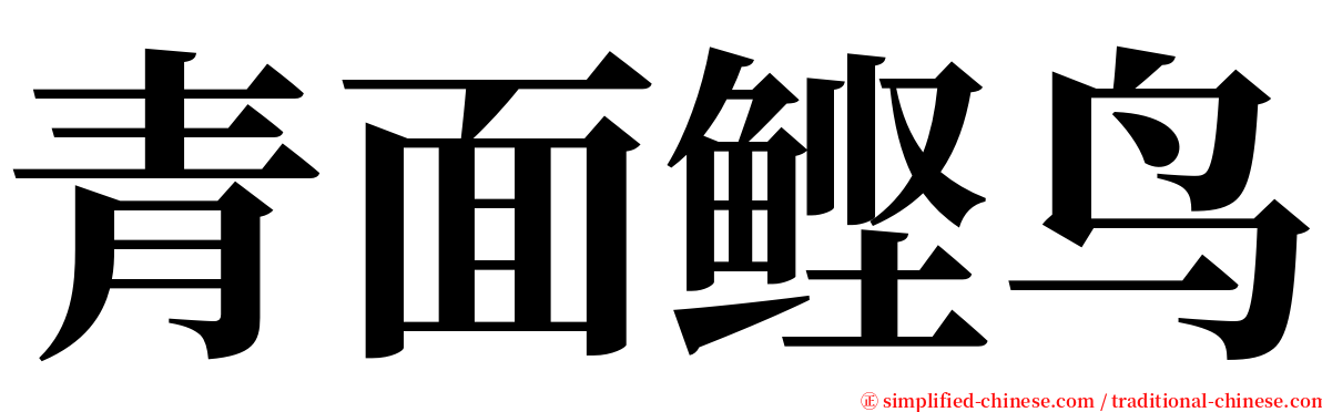 青面鲣鸟 serif font