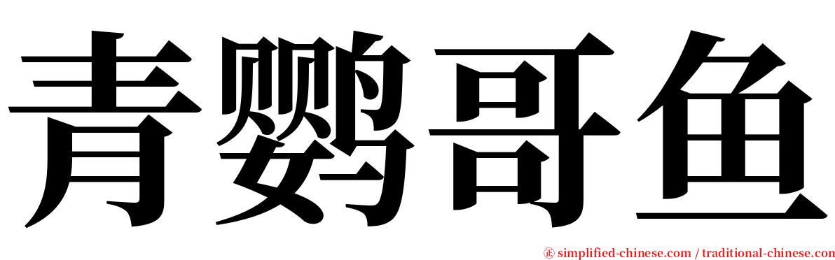 青鹦哥鱼 serif font