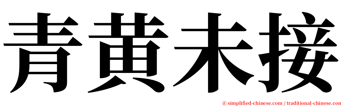 青黄未接 serif font