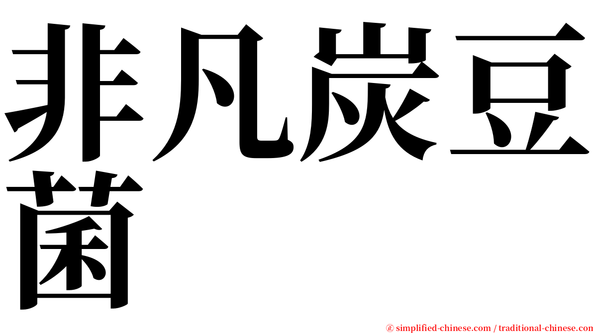 非凡炭豆菌 serif font