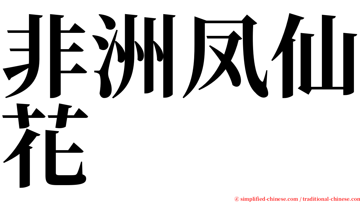 非洲凤仙花 serif font