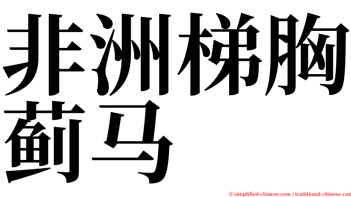 非洲梯胸蓟马 serif font