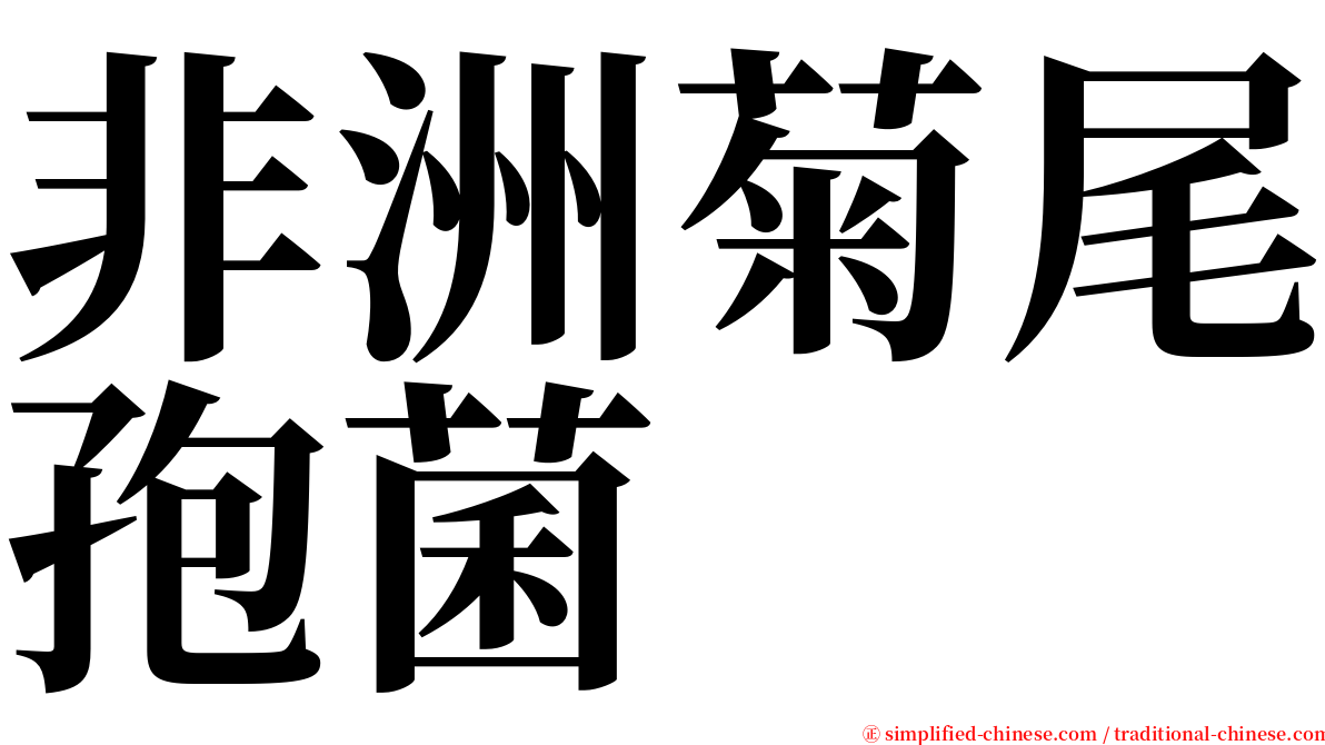 非洲菊尾孢菌 serif font