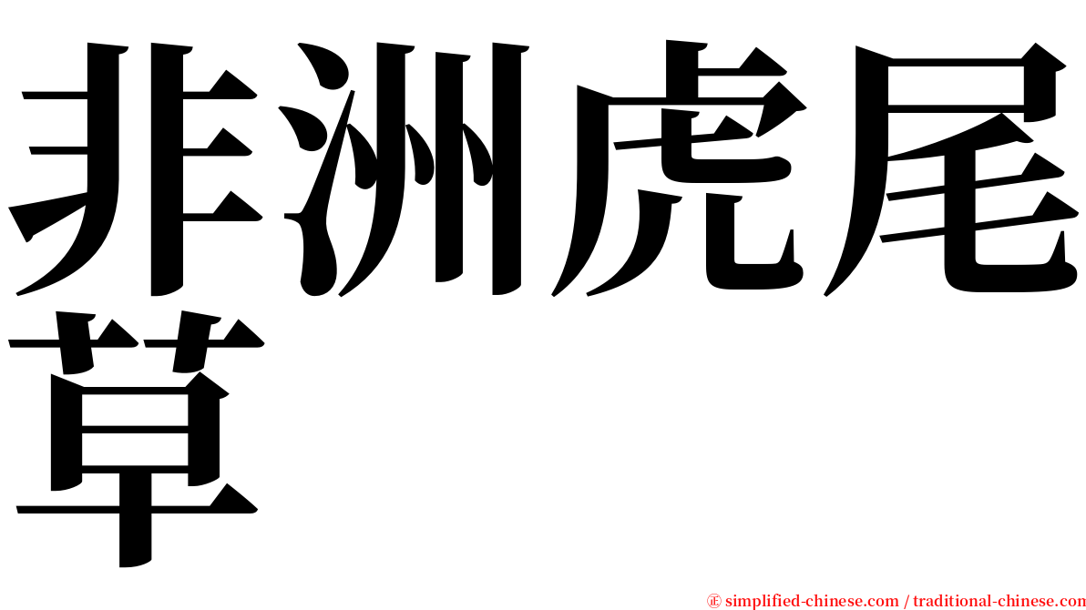 非洲虎尾草 serif font