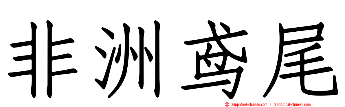 非洲鸢尾