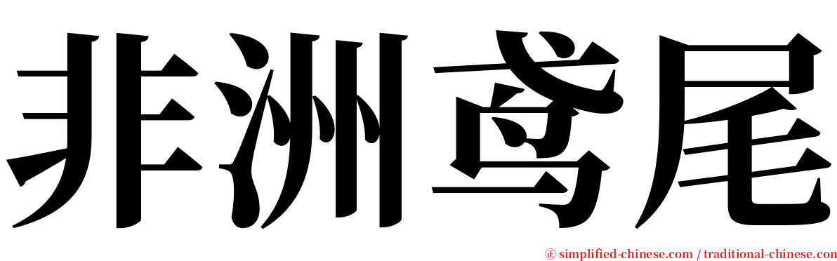 非洲鸢尾 serif font