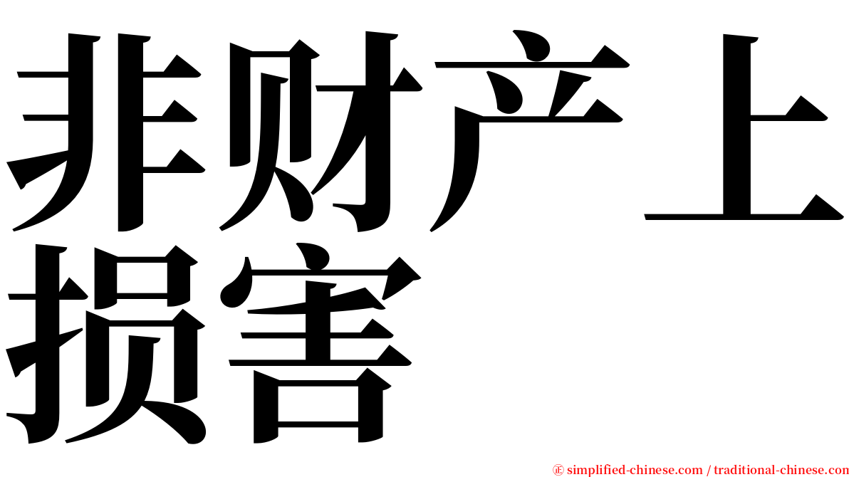 非财产上损害 serif font